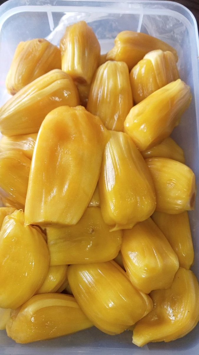 urflowerz's tweet photo. Tim durian atau nangka? https://t.co/TazzRLBRPD