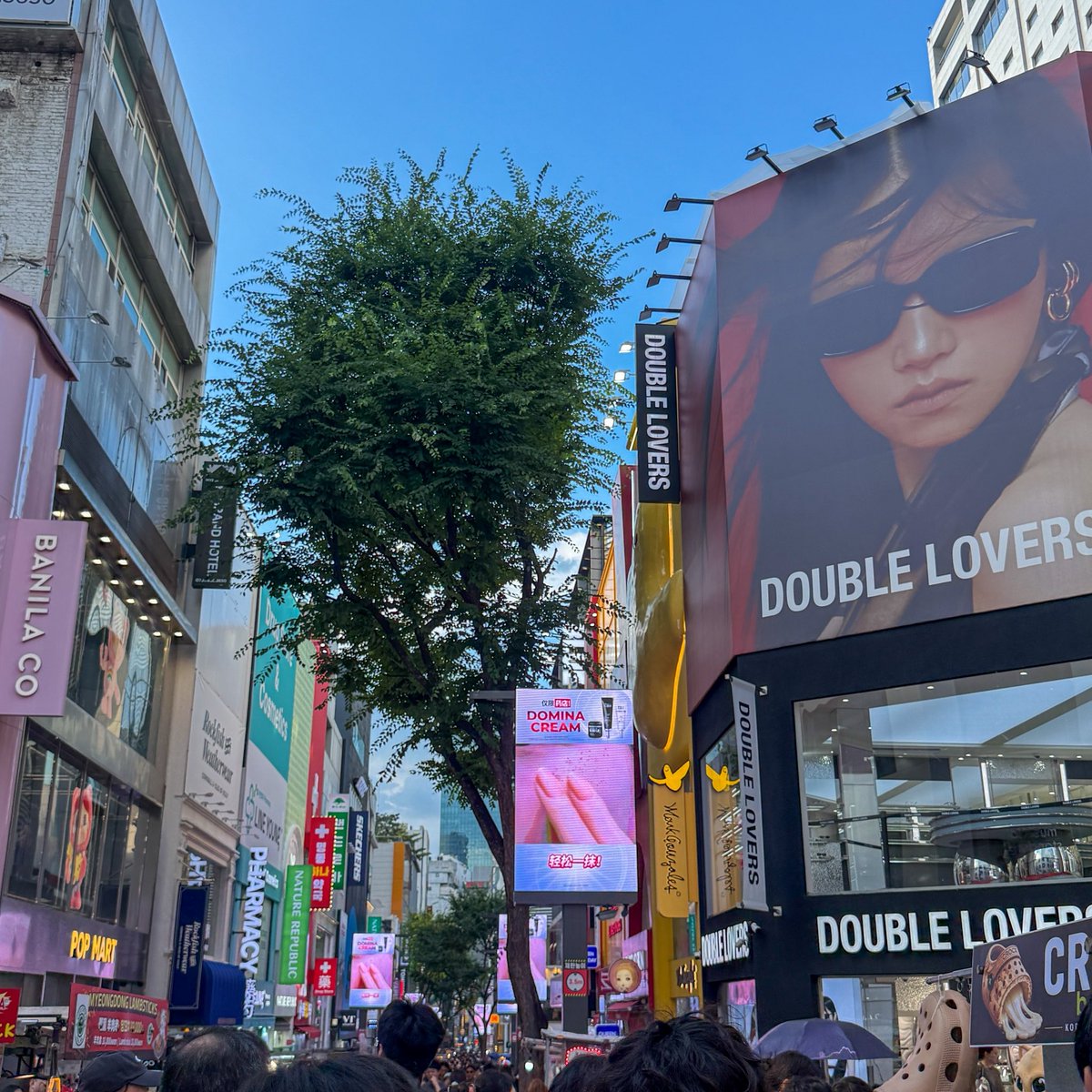 letstalkaboutKR's tweet photo. อัพเดท มยองดง (Myeongdong) ค่า !
เดี๋ยวนี้คือเริ่ดจริง แบรนด์ดังๆมาเปิดเยอะมากๆๆ อยากได้อะไรคือมีครบ ~
แอดรวมร้านดังๆมาให้ เซฟเก็บไว้ได้เลย😍
> สตรีทฟู้ดมีเยอะมาก ใครมีเวลาน้อยอยากกินครบๆ ก็มากินที่นี่แหละ 
> เดี๋ยวนี้คึกคักคนเยอะมาก ช่วงเย็นๆค่ำๆวันหยุดคนจะยิ่งเยอะ แต่ก็เดินได้เรื่อยๆนะ ใครอยากเดินสบายๆแบบตอนรถเข็นยังไม่ตั้ง มาก่อน 15.00 น. กันนะ
> ใครนอนย่านนี้คือสะดวกมาก ช้อปปิ้งถุงหนักเอาไปเก็บห้อง มาช้อปต่อวนไป ของกินก็เยอะมาก 
แต่เดี๋ยวนี้ราคา รร. ย่านนี้ไปไกลมาก อาจจะลองขยับไปย่านใกล้เคียง เช่น Chungmuro / Euljiro 3(sam)-ga / Euljiro 4(sa)-ga / Jongno 3(sam)-ga ลองดูน้า

📍รถไฟใต้ดินสถานี Euljiro 1-ga ทางออก 6 / สถานี Myeongdong ทางออก 6 หรือ 7 เดินเลย

#รีวิวเกาหลี