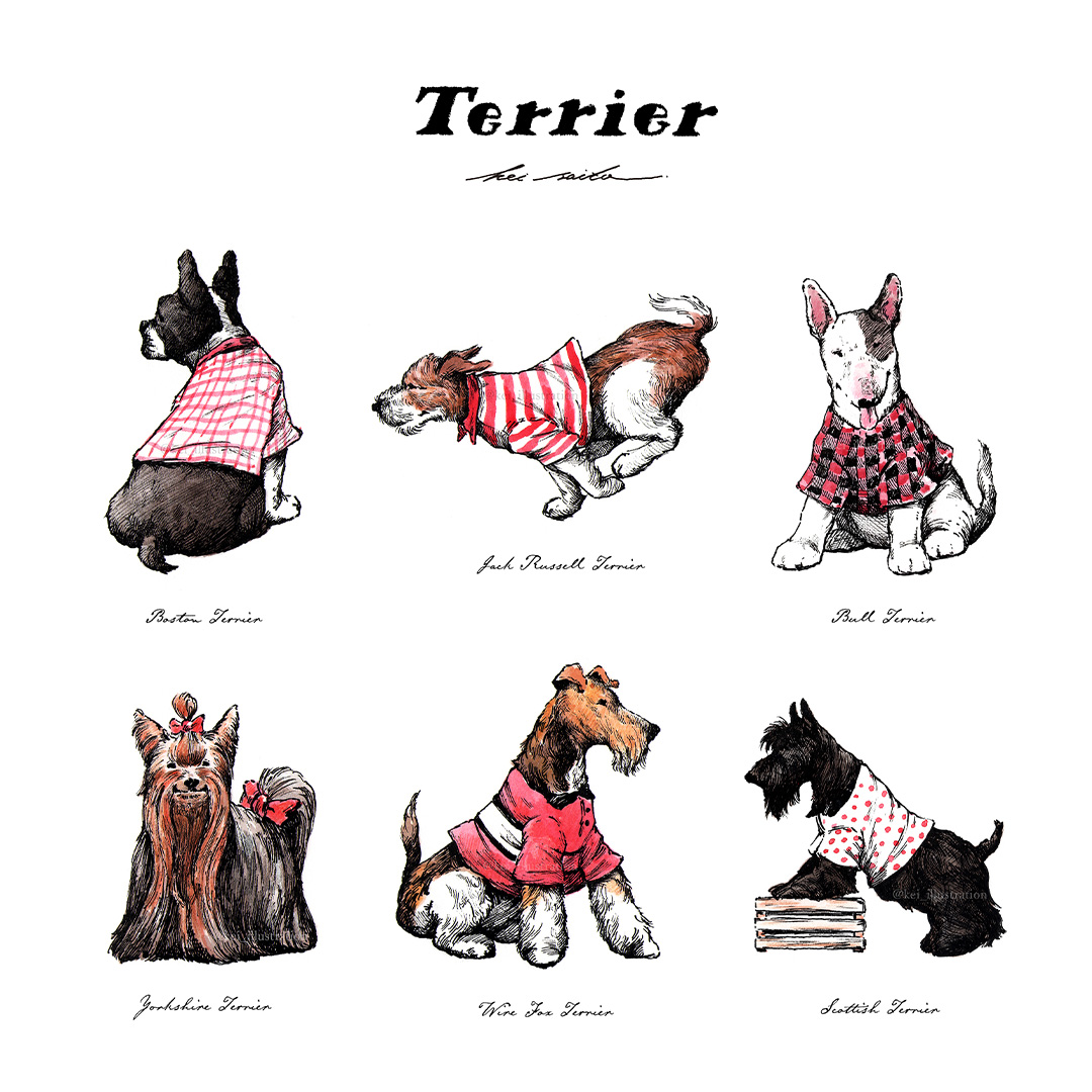 kei_illust18's tweet photo. 世界犬の日（National Dog Day） https://t.co/Gex33AHlH3