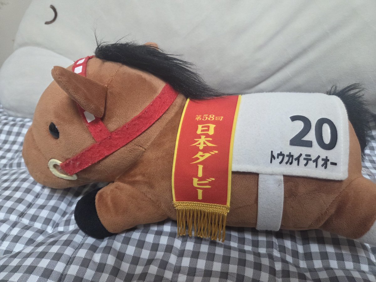 Draw_krrung's tweet photo. 토카이 테이오 36CM 인형 25000원에 팝니다. 중고감이 있어 인하해서 판매합니다.
Cu 배송만 가능하며,  부피문제 때문에 배송비가 좀더 나갑니다. 

https://t.co/M5VyeLfGpn

해당 카톡으로 연락주세요

#우마무스메 #우마무스메_장터 https://t.co/RUHZmme6yR