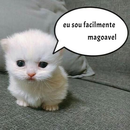 odeiootaco's tweet photo. https://t.co/GUXDvUfxzw