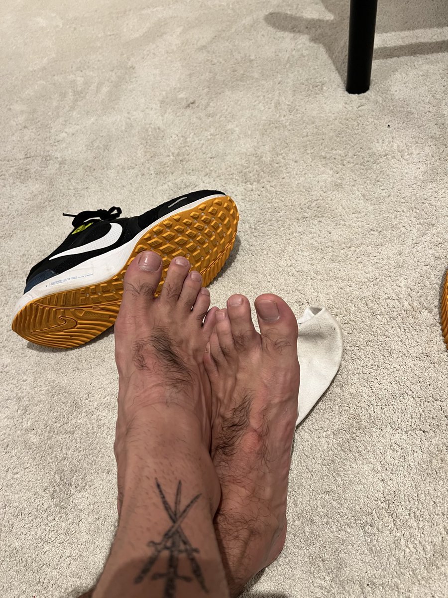 scooblionxxx's tweet photo. Bow down and sniff 👊🏻 https://t.co/XWtba9MCN8