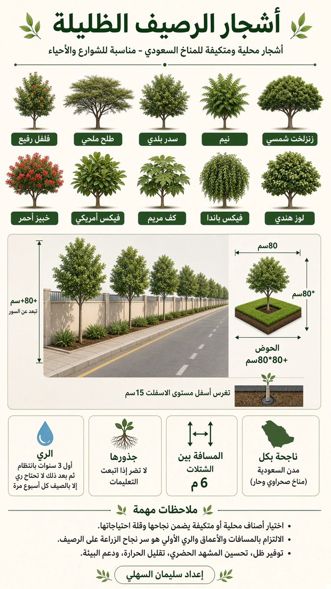 ALshemasyah's tweet photo. لا تحتار وش تزرع بالرصيف..!
هذه أكبر وأقوى الأشجار ولا تضر إذا اتبعت التعليمات. https://t.co/Dd76fL2ywg