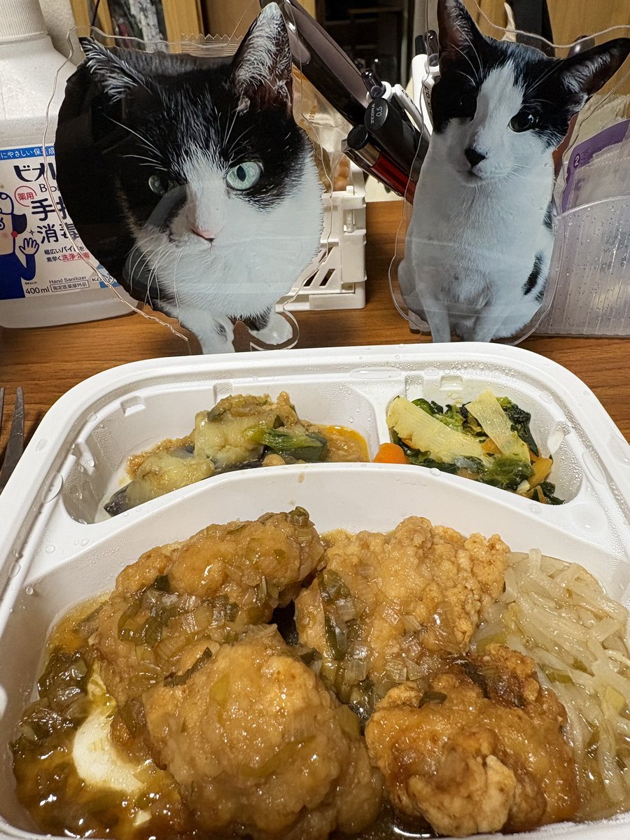 kuumou's tweet photo. 今日はヘルシー宅食‼️
桃ちゃんと容太郎君のアクスタと一緒に♡♡
明日から雨☔️
おこもり生活になるなぁ！ https://t.co/WIyfiqGhOi