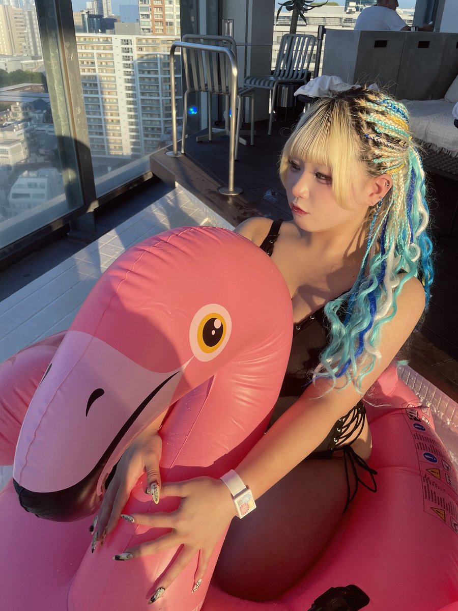 mdkg_roro_'s tweet photo. フラミンゴで隠れちゃった https://t.co/GLhY4pZBmQ