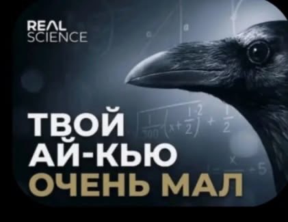 Riyash235's tweet photo. я не могу до сих пор поверить, что на след неделе школа. 
все учителя мне будут говорить, что https://t.co/Wilbr9mxTA