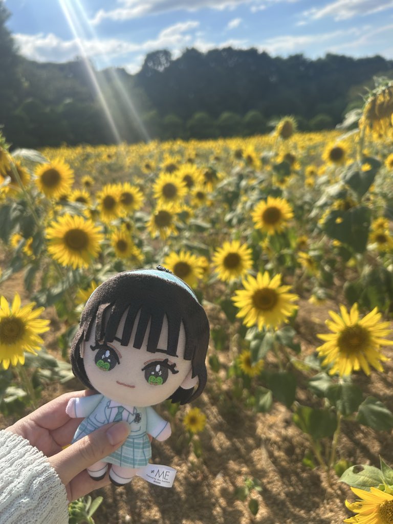 ymr__nnk's tweet photo. ひまわり見に行ってきたよ🌻💛
 #nankachanbot https://t.co/GB98cyjadt