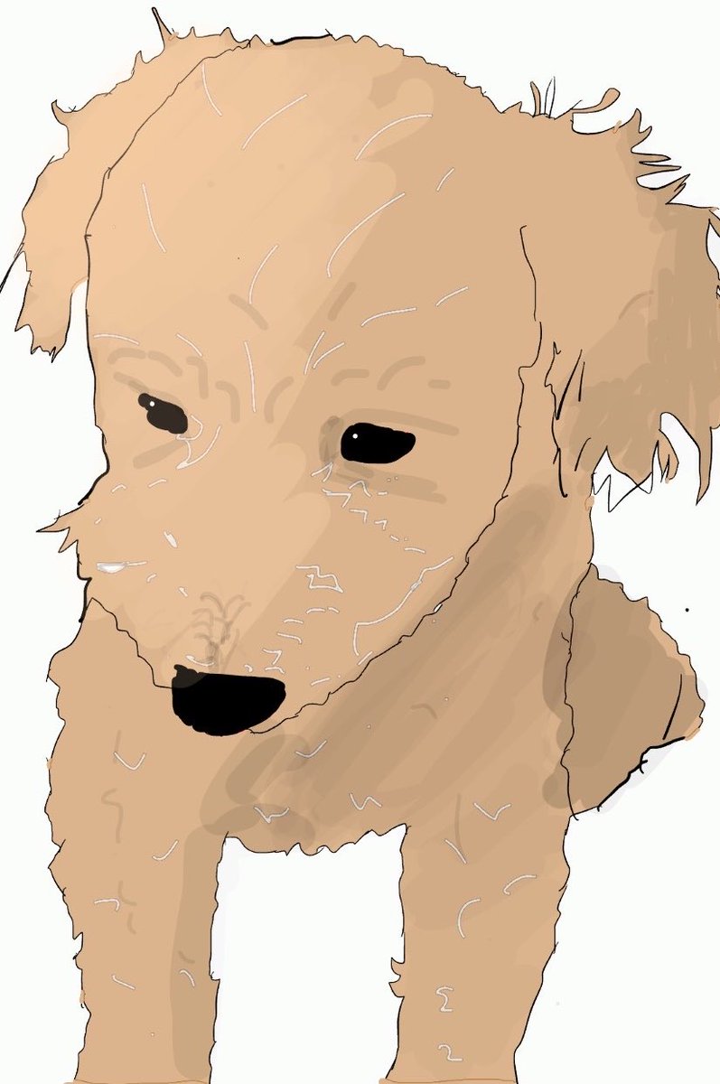 al6add's tweet photo. 毎年26日は世界犬の日。
全世界のわんこが今日も明日も幸せでありますように！🐶
#世界犬の日 https://t.co/qZmg5vJvMI