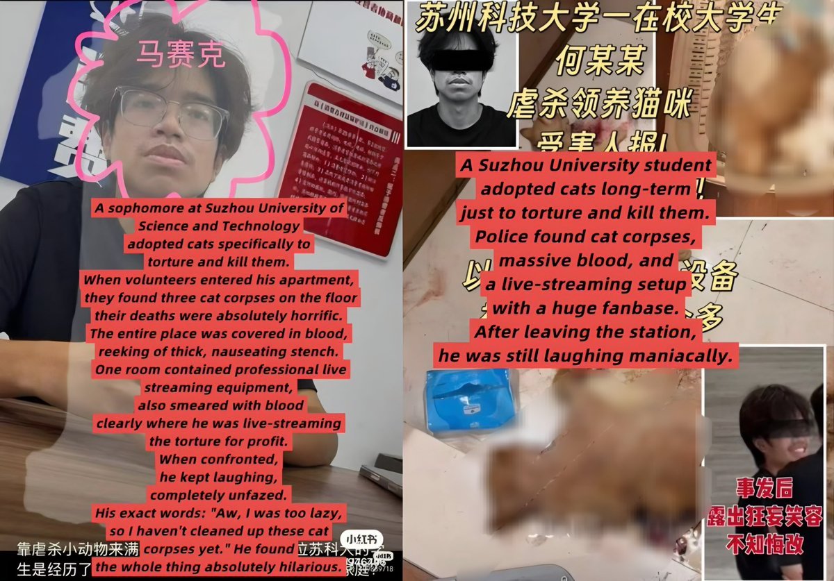 MaleficentLady's tweet photo. ANOTHER CHINESE SERIAL CAT TORTURER AND MURDERER ARE YOU FUCKING KIDDING! HE WAS LITERALLY *LAUGHING* HYSTERICALLY AS HE WAS CAUGHT! Get this Goddamn psycho expelled from his college in China, details below!
"A second-year (sophomore) college student named He Tianci (何天赐) majoring in Applied Physics at the School of Physical Science and Technology / Suzhou University of Science and Technology AKA Suzhou College at Shihou Campus was caught adopting cats specifically to torture them to death.
When volunteers entered his apartment, they found three cat corpses on the floor their deaths were absolutely horrific. The entire place was covered in blood, reeking of thick, nauseating stench. One room contained professional live streaming equipment, also smeared with blood clearly where he was live-streaming the torture for profit. When confronted, he kept laughing, completely unfazed. His exact words: "Aw, I was too lazy,
so I haven't cleaned up these cat corpses yet." He found the whole thing absolutely hilarious."
His father is He Zhigang, 何志刚. His parents are fine with their son torturing and killing cats and totally support it apparently.
Torturer Students Details:
-Suzhou College, Shihou / Shihu Campus, Suzhou City, Jiangsu Province, China.
-He*ci, Applied Physics 2512, Student ID 25200**2231, Shihu / Shihou Campus, Suzhou University of Science and Technology.
Numbers to call to get him the fuck expelled and shamed everywhere 👇
Email addresses (some may bounce back):
-College email: https://t.co/XyP9vvcqvp
-President Office's email: xiaoban@usts.edu.cn
-Student Affairs Email: xsc@usts.edu.cn
-International Office Email:
1. xuli@usts.edu.cn
or
2. wsc@mail.usts.edu.cn
Phone numbers:
-Suzhou Tech and Science College General Phone: +86-512-68083225 or +86-512-68255226
-Complaints and citizen service hotline for Suzhou City: 12345 (dial 0512-12345 if calling from outside Suzhou or a mobile phone without a local prefix)— Handles general administrative complaints, government service inquiries, and non-emergency feedback.
Suzhou College Science and Tech Website:
https://t.co/gqsTlqg7rn
---------‐------‐---------------------
#suzhou #jiangsu #EndCatTortureInChina #EndKittenTortureInChina #beijing #china #ccp #prc #justiceforwangwang #wangwang
#boycottchina #chinacool #boycottchinatourism #chinatourism #chinatravel #tourismchina #travelchina #safechina #chinamaxxing