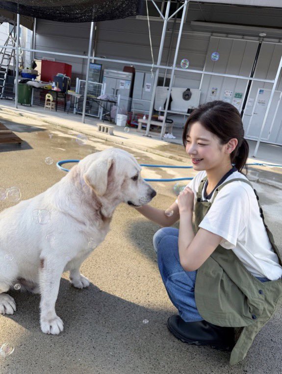 itzypics0t5's tweet photo. 260826 | #ITZY INSTAGRAM UPDATE 

(1/2) https://t.co/rvblsdlWOn