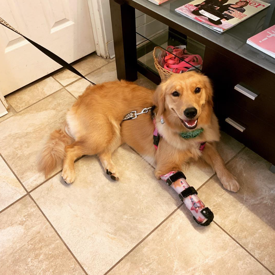 thomasj_redmond's tweet photo. #SavedByClaude $Rocco https://t.co/0h3STFF1Br