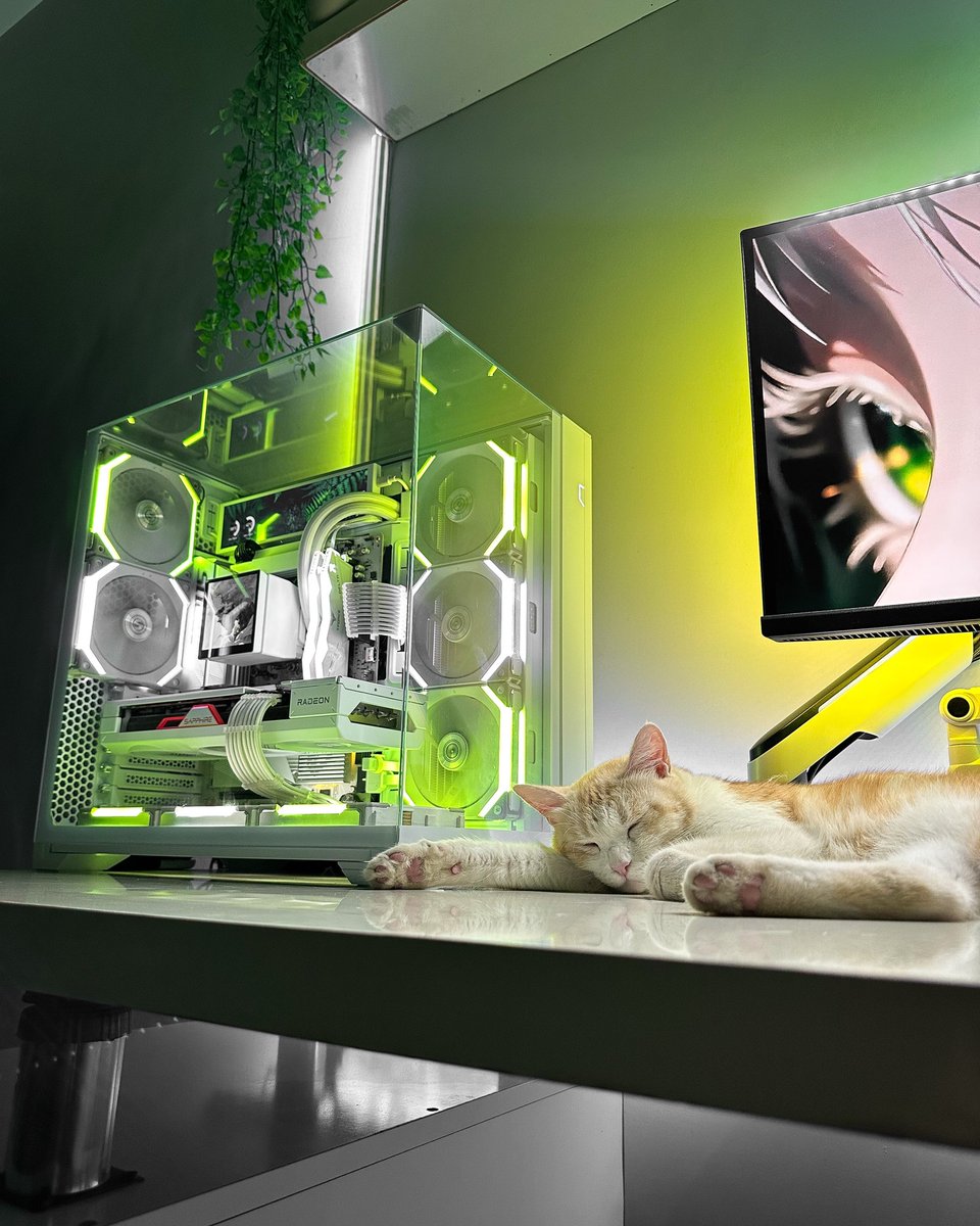 TeamGroup_JP's tweet photo. PCは全力で光る。
猫は全力で寝る。🐈💤
これが、平和なゲーミング環境。
#自作PC #ゲーミングPC #デスク環境 #TeamGroup https://t.co/wck6xMBAbF