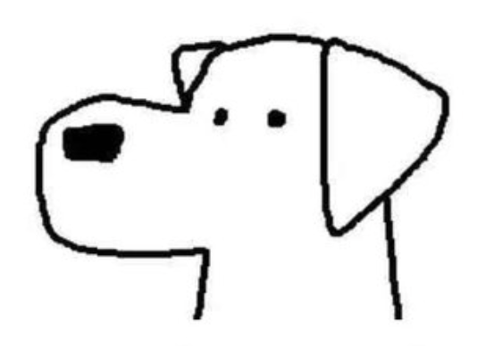 klyx0r's tweet photo. just a $dog https://t.co/DlU7sAmSle