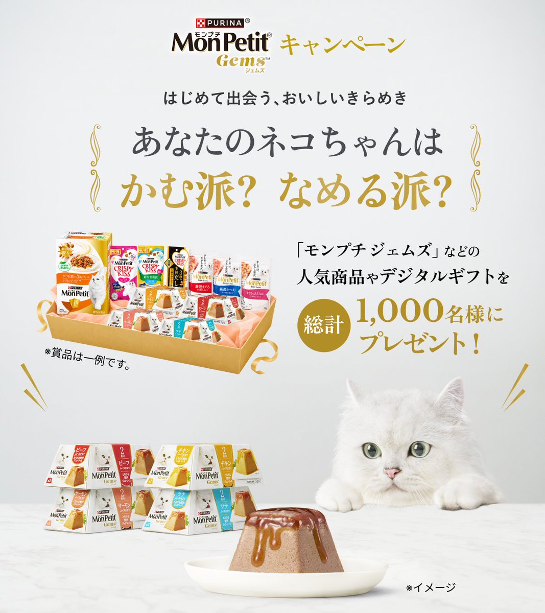 MonPetit_JP's tweet photo. ／
総計1,000名様に当たる！🎊
「モンプチ ジェムズ」あなたのネコちゃんは かむ派 ？ なめる派 ？
キャンペーン開催✨
＼

🗓️キャンペーン期間
2026年9月1日(火)〜11月30日(月)23:59まで

👇キャンペーンサイトをチェック✨
https://t.co/VpjrXp0HKe https://t.co/6FNF4dOs0L