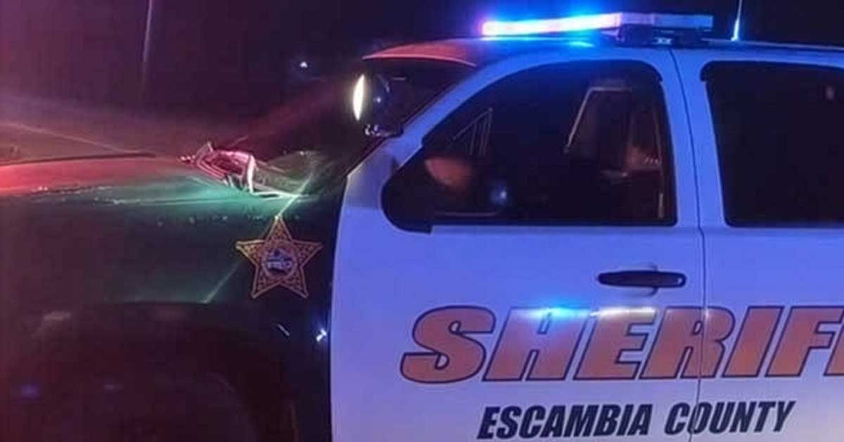 northescambia's tweet photo. Deputies Search For Fleeing Domestic Disturbance Suspect In Cantonment  

https://t.co/5mWm0y0z8x https://t.co/zGMpgJIjfz