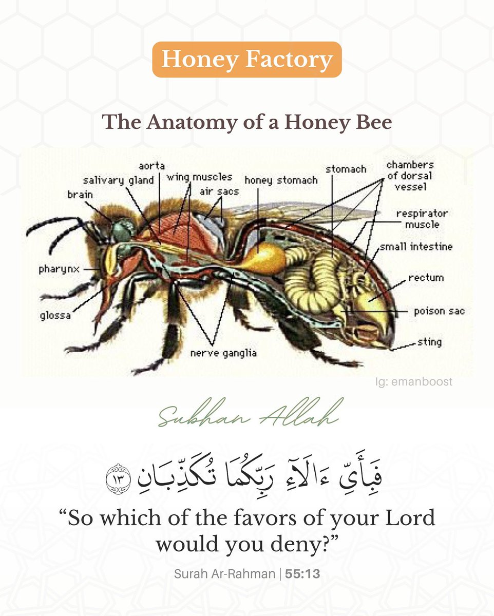 7signxx's tweet photo. So which of your Lord's favor will you deny? https://t.co/tefnYPTbu3