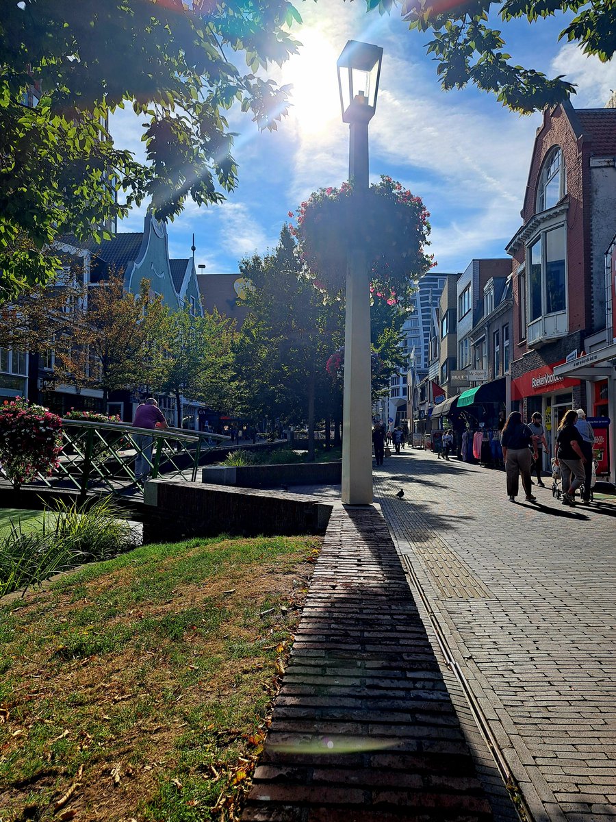 WendyKoorn3's tweet photo. Goedemorgen ☕️❤️🍀
De week doormidden 💞
Geniet allemaal van een mooie zomerse #woensdag 🪷🦋🌾🍦🌞
#summerfeelings 🥰
Groetjes uit #Zaandam 😘 https://t.co/KVvjYmBtxU