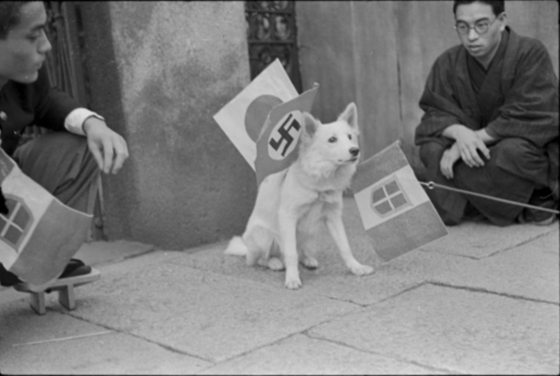 inukosato's tweet photo. #世界犬の日 #InternationalDogDay
「日独伊防共協定　一周年記念国民大行進式」1938（昭和13）

内閣情報部『写真週報』第40号
https://t.co/txSSBQnaiu https://t.co/BzhKhYtskg