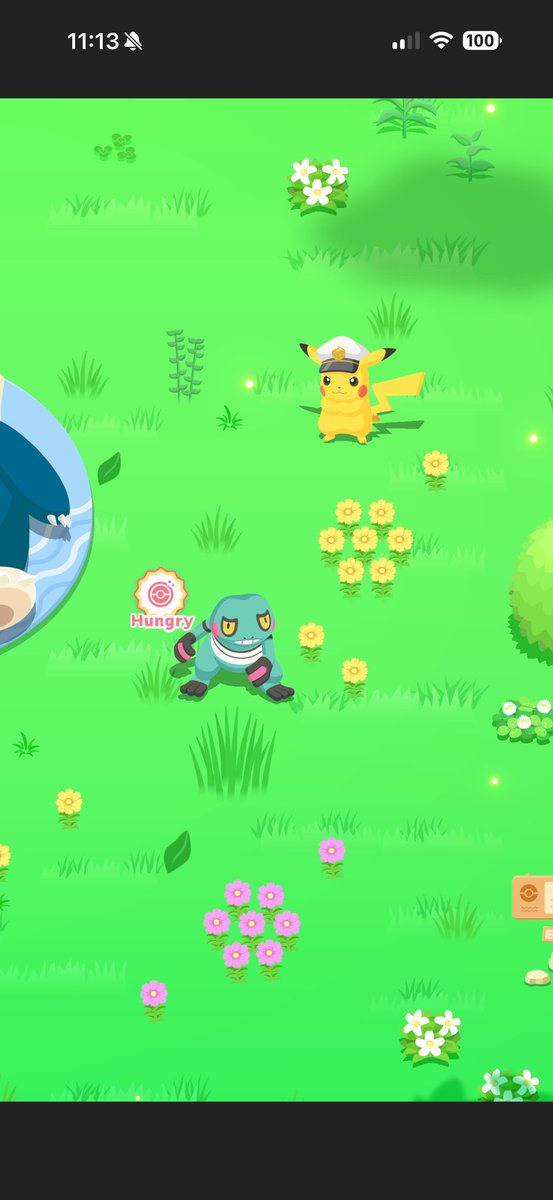 walmartworms's tweet photo. I GOT SHINY CROAGUNK ON A NEW FORM !! HE VISITED IN MY SLEEP ! https://t.co/Ns0f89PR5Y