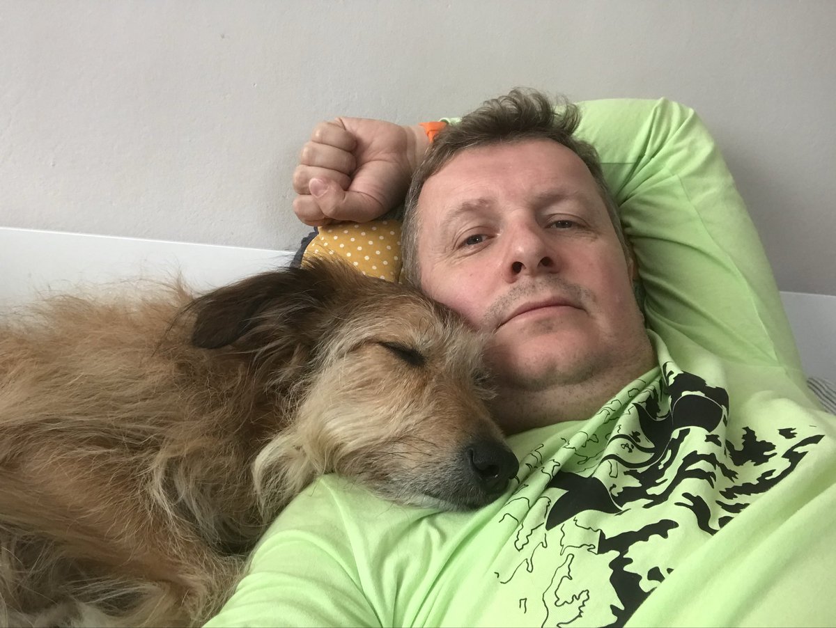 POchmanski's tweet photo. @Skalinskalin Pozdrawiamy 🐾 https://t.co/s59V6Kg4Bg