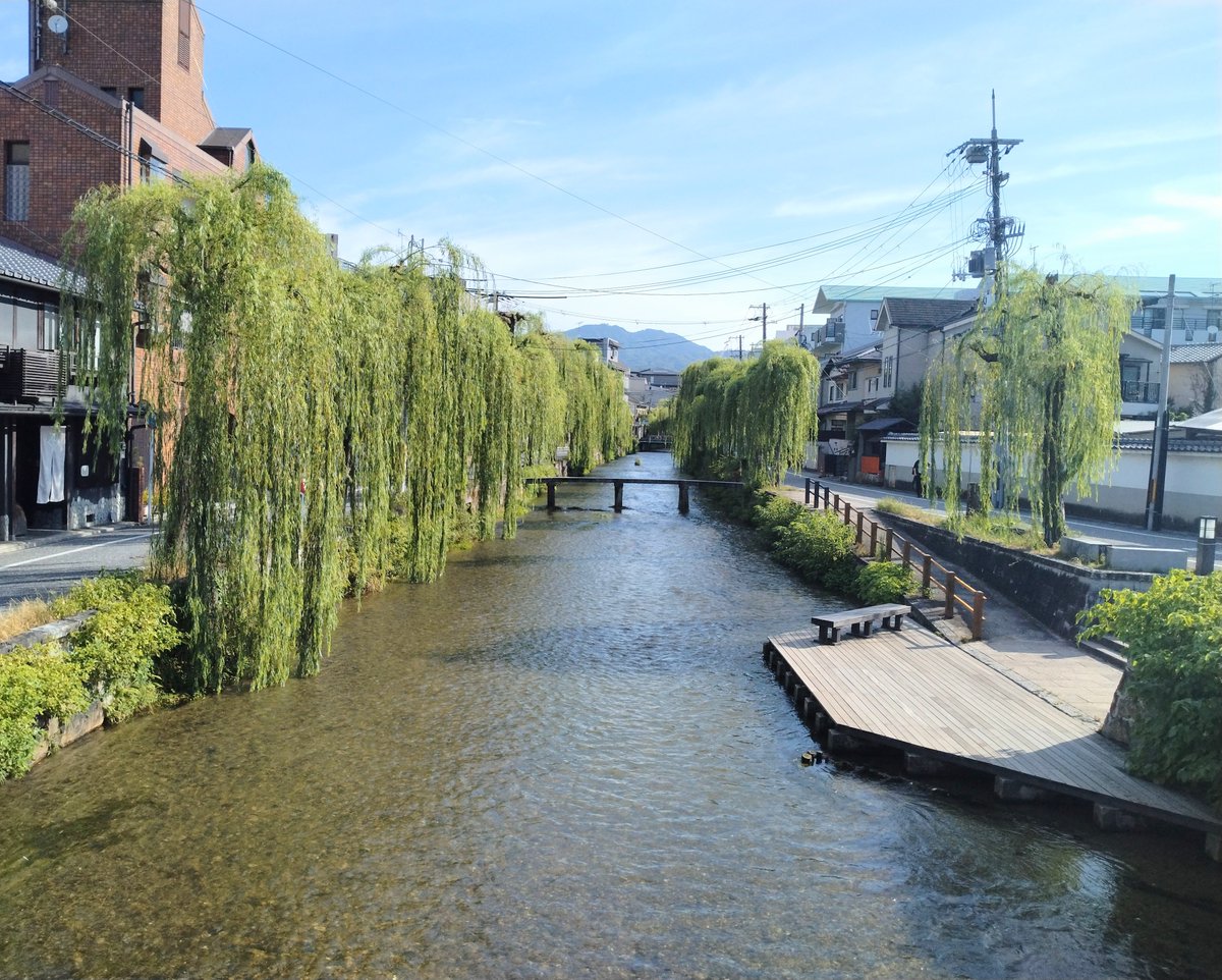 kyotohitotuya's tweet photo. 水の流れは穏やかなれど…
朝から陽差し強く…
秋遠し…
（京都） https://t.co/dDov3sc4RX