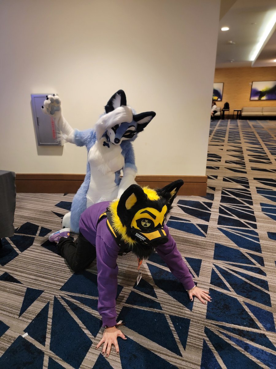 zpeakinz's tweet photo. Im just gonna leave these here 🫢😉~ these pics I got with you and @blberrylicious were hilarious 😂 @SpiceyFoxx_ 😭🫶 https://t.co/N3gvJVMLHl