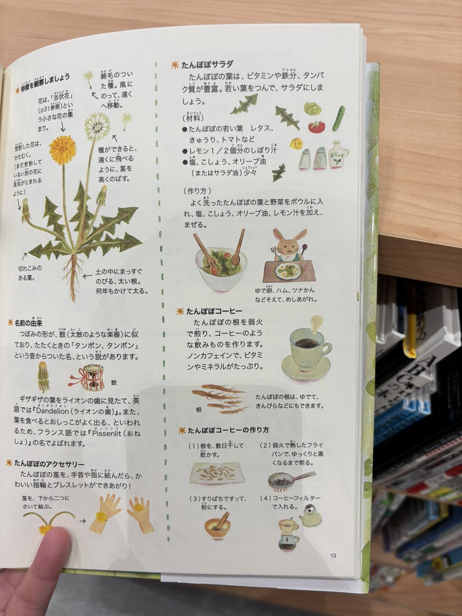 cciao_100's tweet photo. 怎麼感覺蒲公英很好吃 https://t.co/qmr2rE7YEI