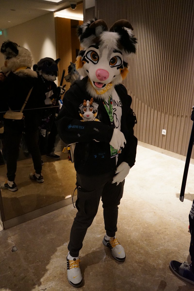 Marble_dcollie's tweet photo. #Internationaldogday means doggy gets a dog fren https://t.co/yxWdDcrq2z