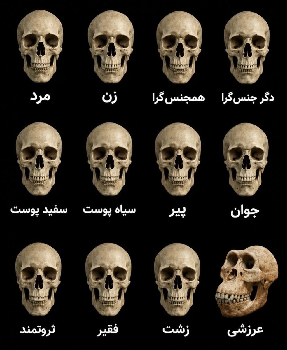IRTuns's tweet photo. @Leyliyazdi پسرا با بدحجاب حال میکنن با محجبه سکس😂 https://t.co/VsjpiiLVed