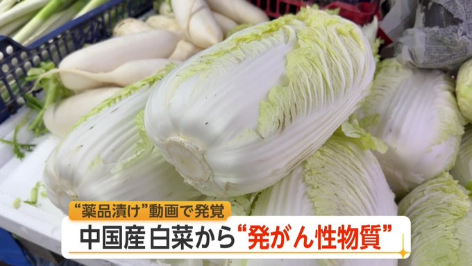 sanfuku3's tweet photo. 厚生労働省は
ホルムアルデヒド白菜が日本に入って来ていないか
「確認中」とし、
「普通では考えられないので、それを対象に（検査を）やっていない」とコメント。
中国からの報告を受け、必要な対応をとっていきたいとしている。

厚労省がこんなだからな。
普通では考えられない事も、向うは普通にするんだって知ってるくせに😩
白菜に限ったことではない。ゴボウも真っ白だし
他の野菜も異常にデカイし。見た目が不気味だもん。
口に入れるものは自分で注意するしかない🥺

https://t.co/YG7yLiPDtq