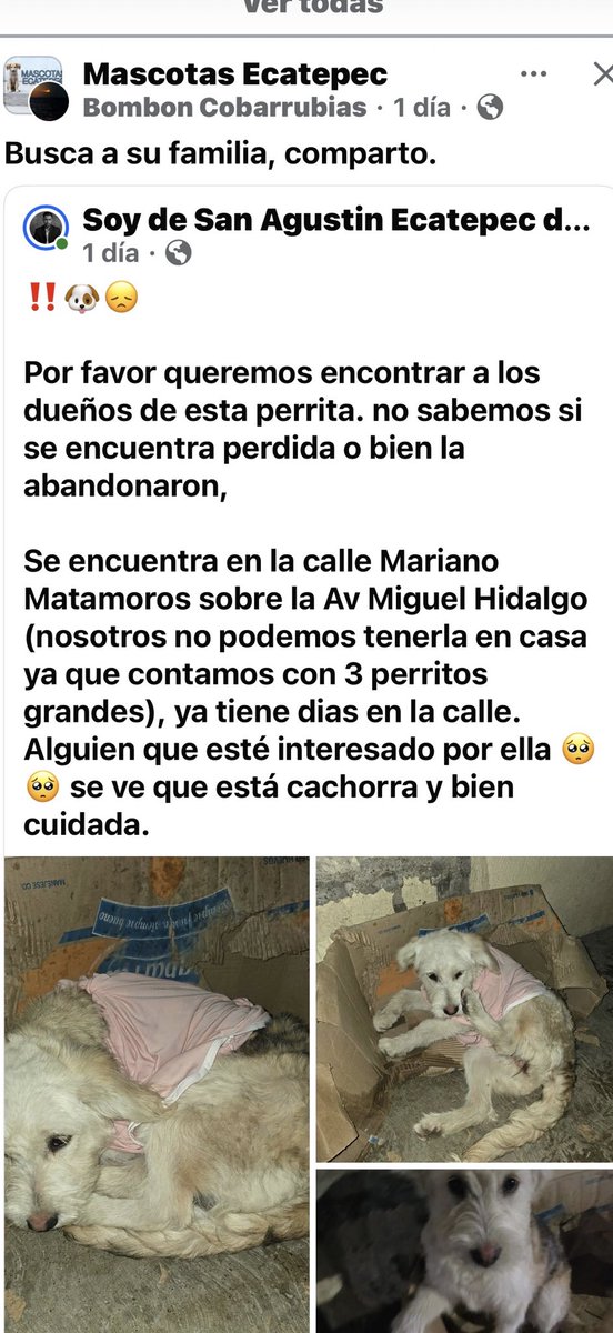 AlejandraVegaF5 tweet picture