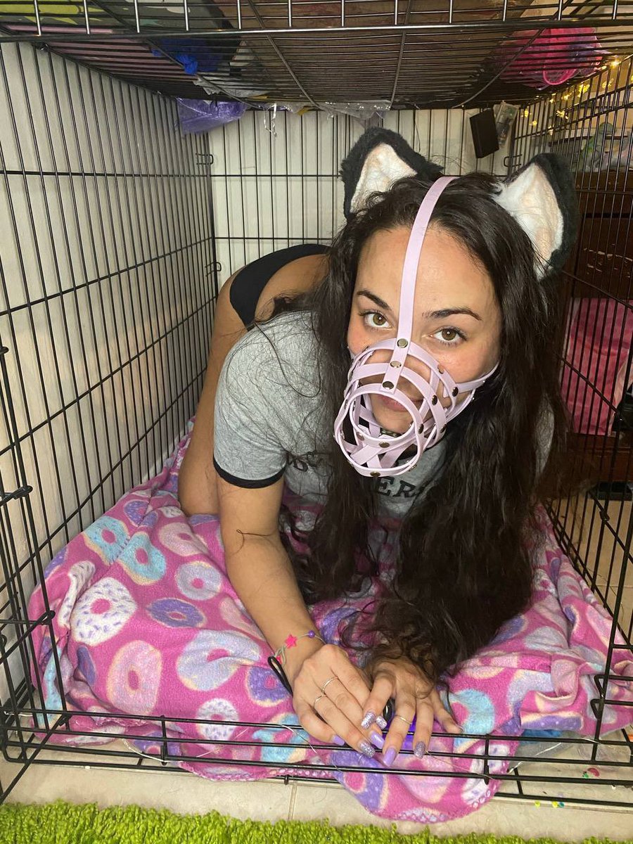 caniba1cupcake's tweet photo. A dog stole my virginity and now I’m just a k9 cumdump🤭💦🐕

#Beastiality #Dogknott #dogknotting #k9 #Taboocontent #zoopride #zoosarevalid #zoophilia #nolimits #teenageer
DM FOR MENU 😈🍕

https://t.co/9exrWcj9iS https://t.co/yAjLFiFZhf