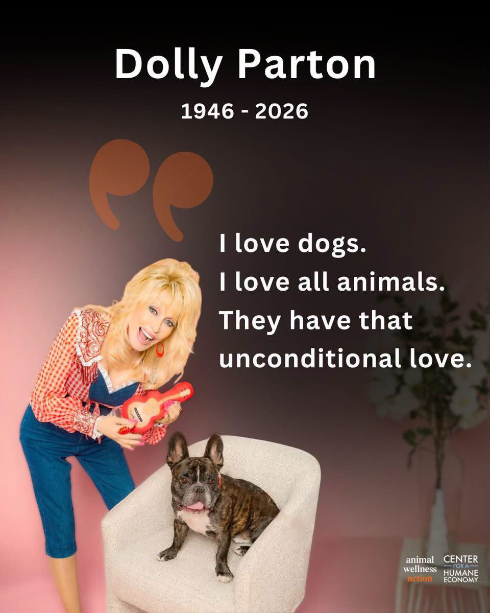 Protect_Wldlife's tweet photo. #RIPDollyParton 💔.

“I love dogs. ! love all animals.
They have that unconditional love” ~ #DollyParton. 

You will be missed ❤️. https://t.co/gnZGNBo9aU