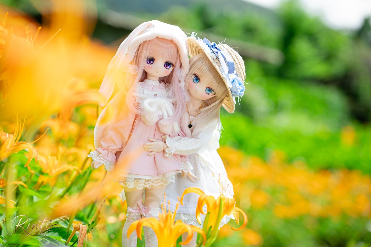 Rinto_0718's tweet photo. 💛 https://t.co/rKHI4CUnvT