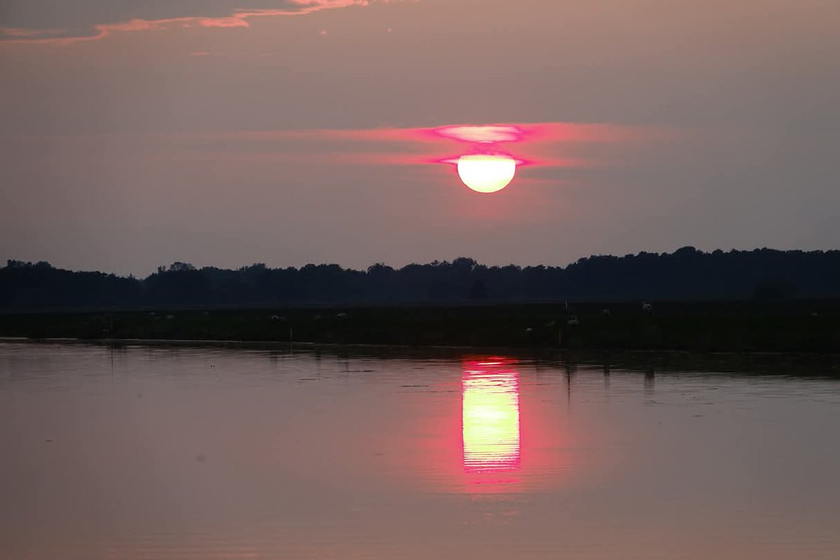 Wattschnecke's tweet photo. Hier geht die Sonne schlafen ... 

#sonnenuntergang #rot #sonne #ufer #gelb #fluss #träumen #natur https://t.co/xIwu0GoQXO