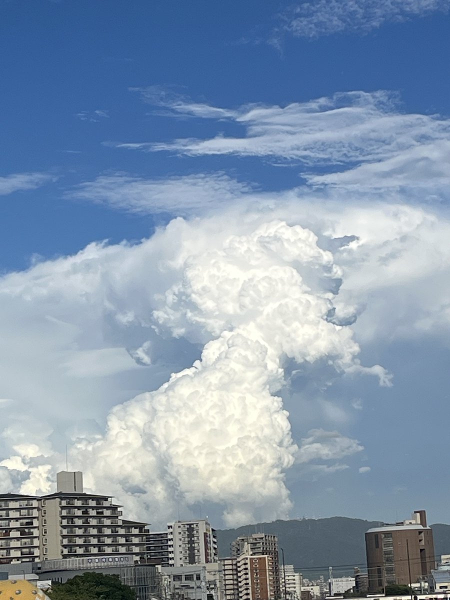 airisu14247075's tweet photo. イマソラ https://t.co/M2WxT5zRjj