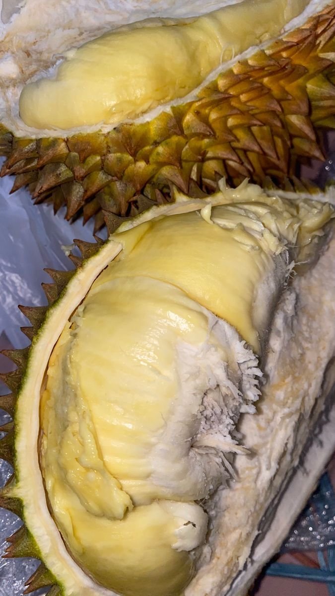 glxssie's tweet photo. Kalau disuruh pilih, kalian lebih suka durian atau manggis? https://t.co/8OKWfTpjIH
