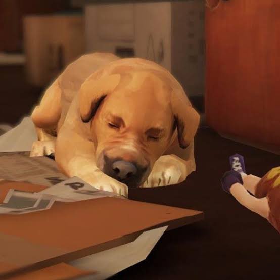 lLisFan1's tweet photo. Happy #internationaldogday #lifeisstrange https://t.co/QcQvHAgMIL