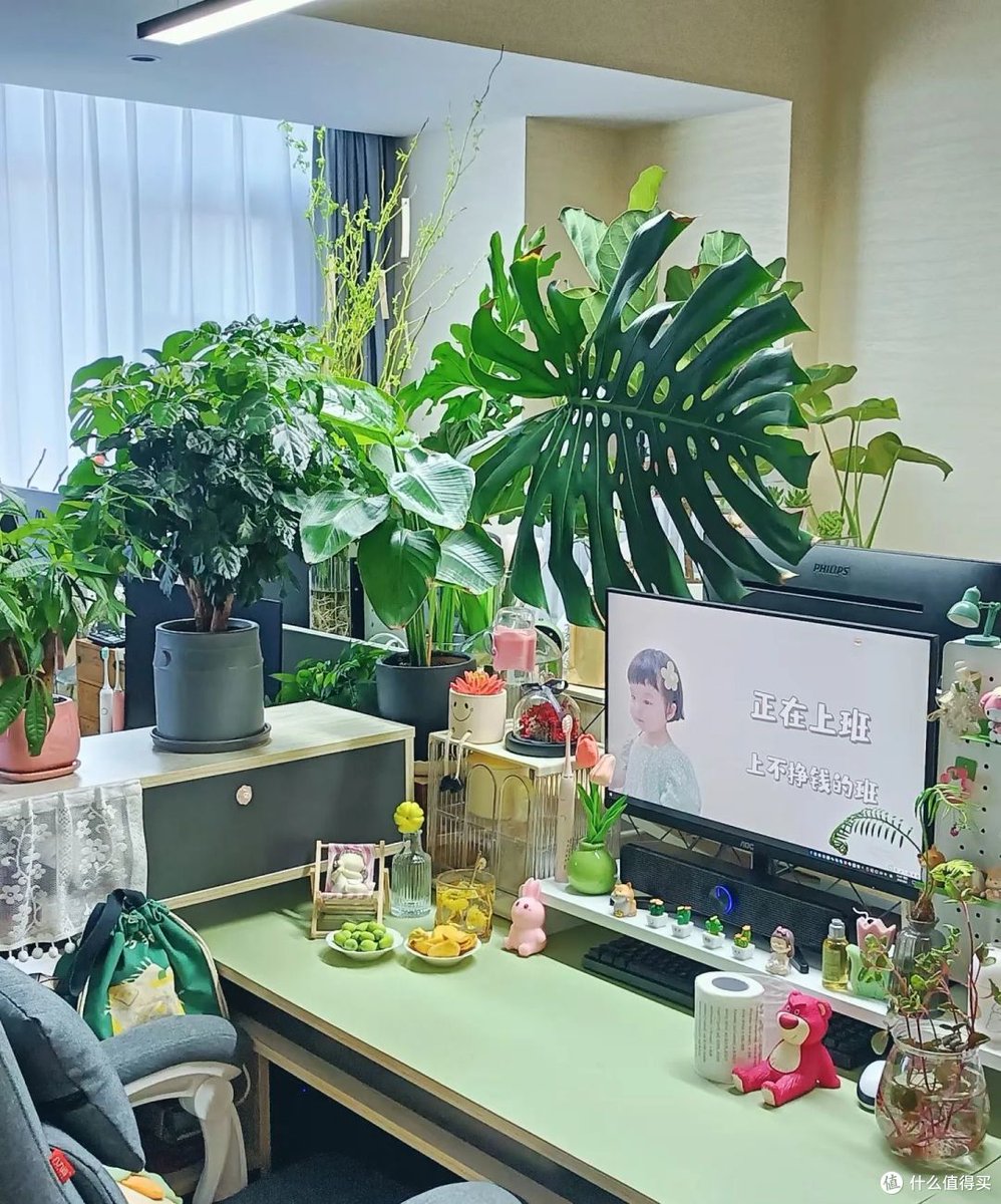 guhgjkkk's tweet photo. Mi escritorio ideal: ordenado, con una planta pequea para animar el espacio y una taza de café caliente listo. Productivo y acogedor https://t.co/LAPkm0wLjv