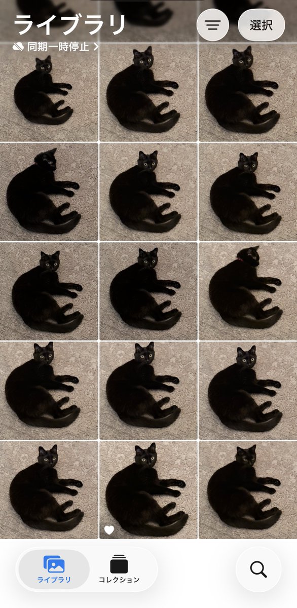 gogonano2's tweet photo. 猫を飼うということ https://t.co/npCCSWBJLX