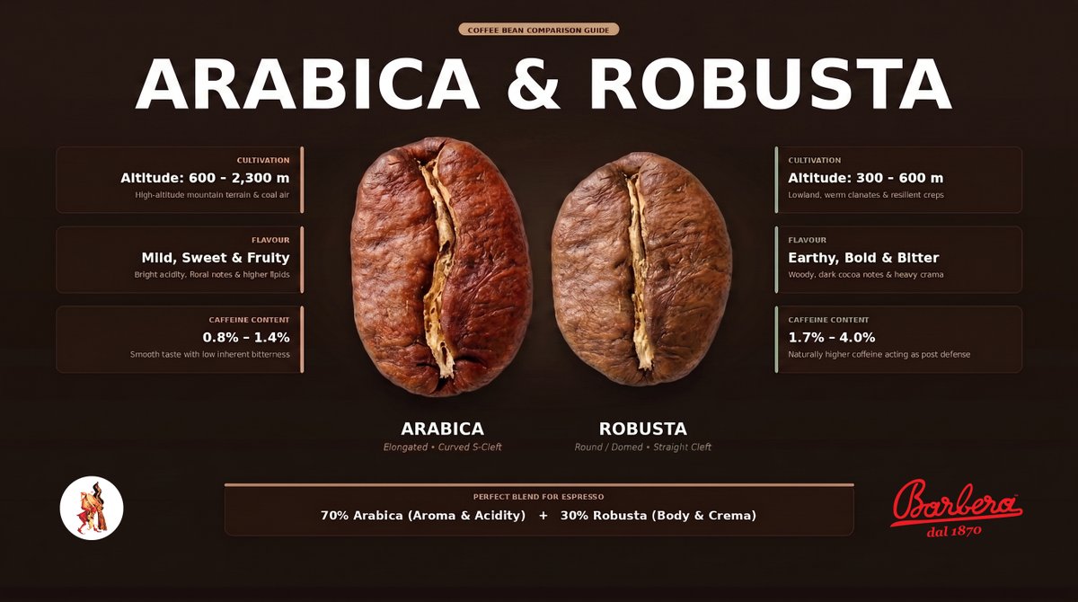 Barbera_1870's tweet photo. ☕️ Robusta is Not a Crime: 

Mass-market specialty trends often dismiss Robusta, but Neapolitan roasting masters in #ItalianCoffee know better.

High-grade, washed Robusta is the secret ingredient that gives Italian #Espresso its deep body, lingering aftertaste, and thick, velvety crema.

We treat Robusta with the royal respect it deserves. 👑