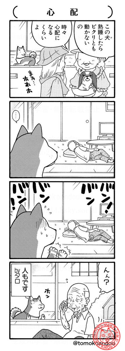 tomokoandou's tweet photo. 仔(こ)ブルのワルツ、もちもちイヌイヌ４コマです。 https://t.co/1LlvOX3cLV
