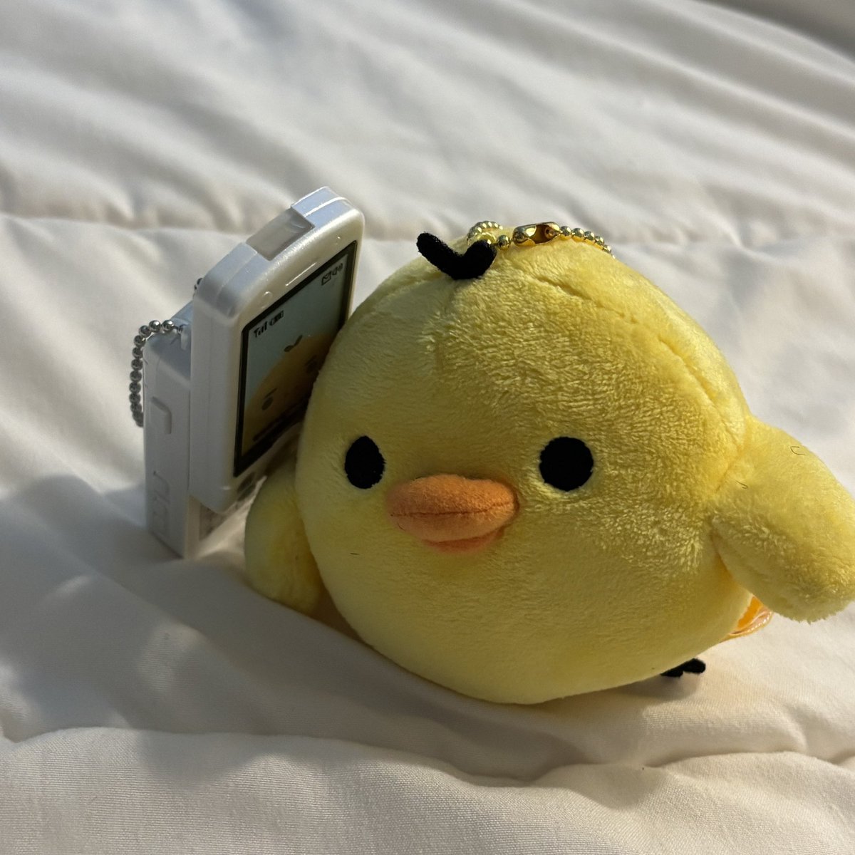 5sion_off's tweet photo. 여보세요? 왜 말을 안하시지... https://t.co/xaoQ6oRUCb