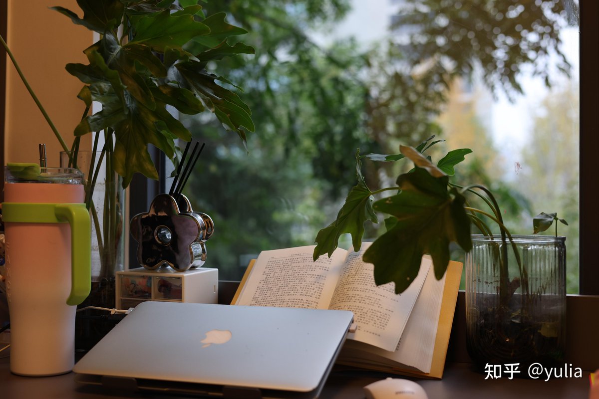 ekdms5827's tweet photo. Mi escritorio ideal para trabajar: ordenado, con luz natural y mis plantas favoritas cerca  Productividad y tranquilidad en un solo espacio https://t.co/FCXRXgg96x