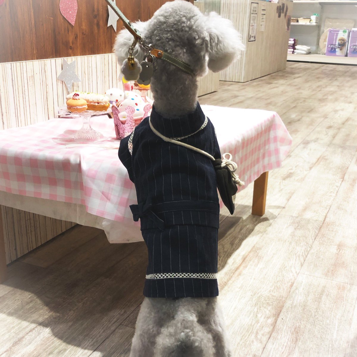 wauko703's tweet photo. 🐩🐾8月26日🐩🐾

【犬の福祉向上、保護犬の新しい家族探しを推進する日です。】

こんな日は毎日でも良いのになぁ
▼･。･▼ノ♡

夏は甚平さんですよ(ᵔᴥᵔ)

#世界犬の日 
#NationalDogDay
#保護犬から過保護犬に ♡ https://t.co/Mms5gOo4Sm