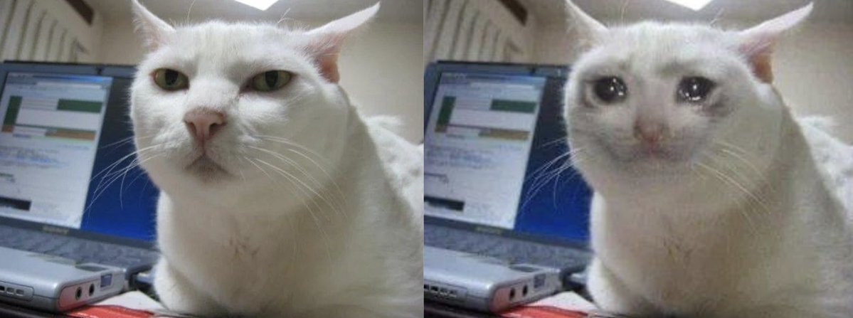 SeriousCatRH's tweet photo. The $SERIOUSCAT lore is simple.

$CASHCAT's image directly came from Serious Cat which was made 23 years ago.

Cash Cat would not exist without us.

At the same time, we launched on Cash Cat's launchpad, so would not exist without them.

Together forever. https://t.co/aTPpHD9pZF