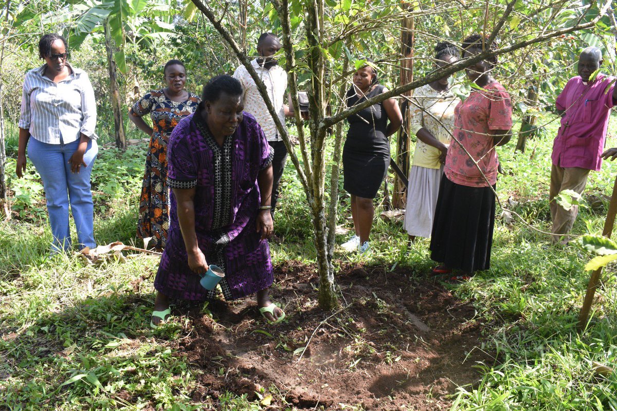 AFAPUganda's tweet photo. 👌Better coffee starts with better practice.
AFAP and DEM Commercial Farmers engaged coffee growers in Buhugu Village, Mbale, on good agronomic practices, soil testing and proper fertilizer application to support healthier soils, improved coffee production and better livelihoods. https://t.co/6miaoMERwG