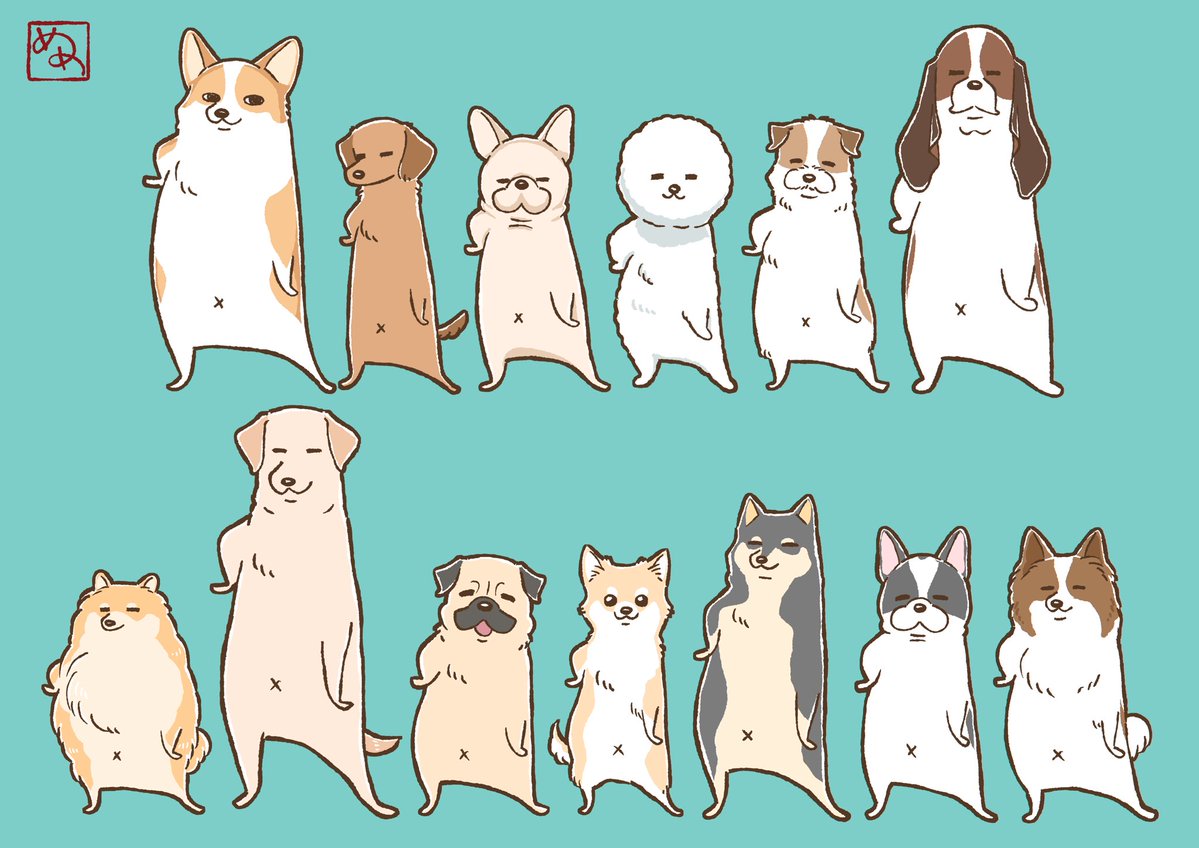meg12_06's tweet photo. みんな揃って決めポーズ。
世界の全犬にハピネスあれ🫶🏻
 #世界犬の日 https://t.co/KdxkWKNY8w
