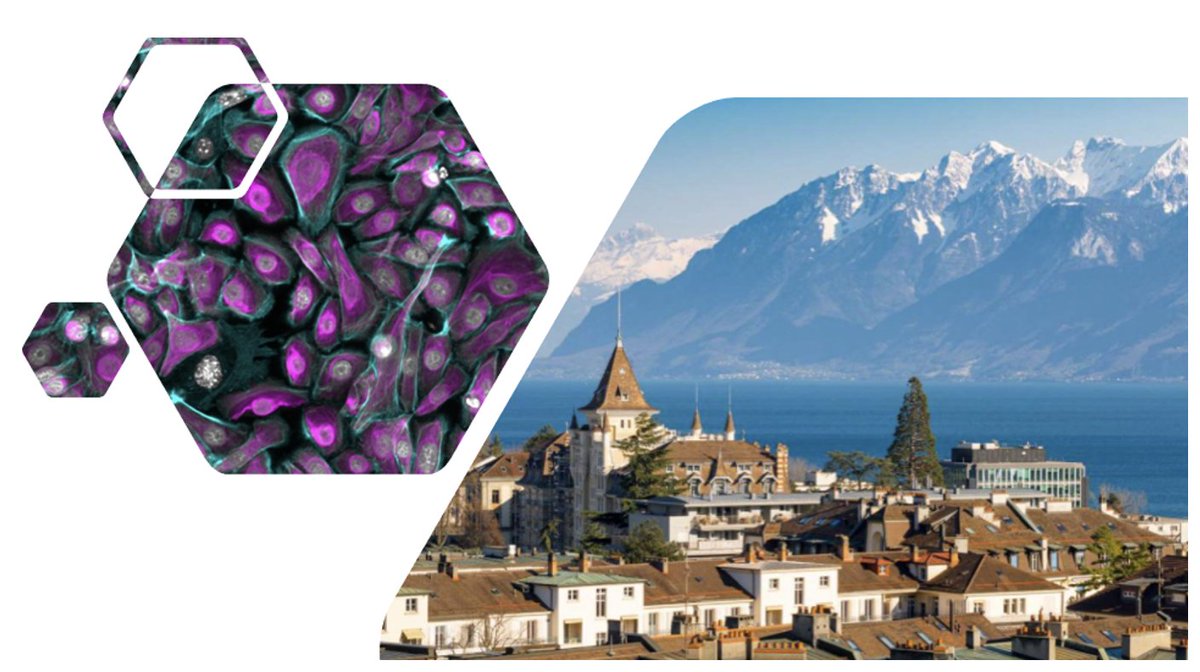 ShukryHabib_Lab's tweet photo. PhD opportunity in Aging, Bioengineering &amp; Regenerative Medicine 🧬

We are recruiting for a fully funded 3-year PhD position in beautiful Lausanne, Switzerland 🇨🇭

Applications will be reviewed ONLY through the official UNIL website: https://t.co/hJmlbzrS1T https://t.co/OBRgIJKIyD