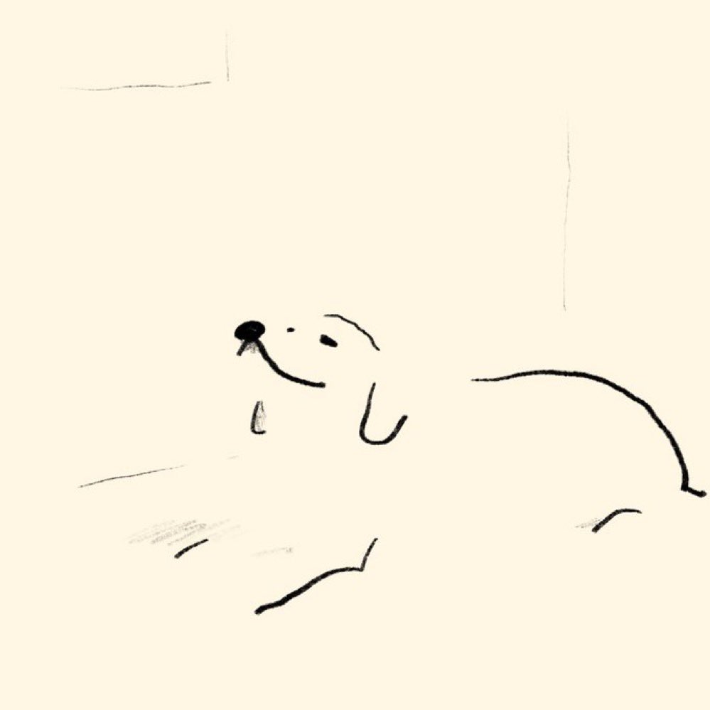 riposhima's tweet photo. #世界犬の日 
#WorldDogDay https://t.co/YL7np91NfC
